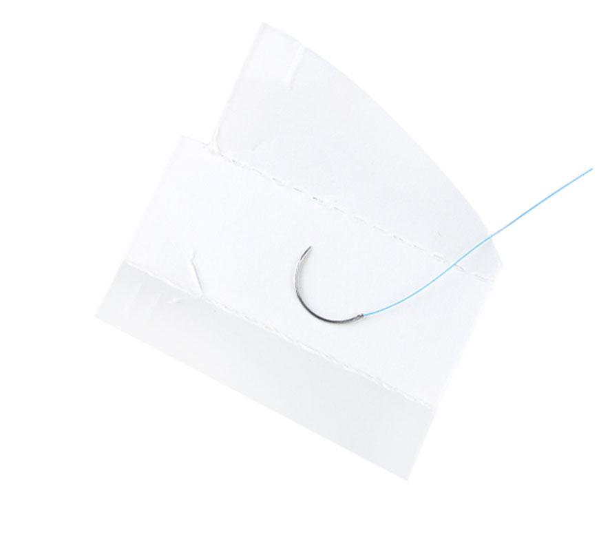 Surgical Gut Suture