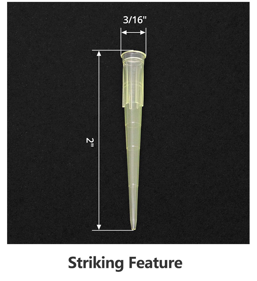 Tip Of Pipette