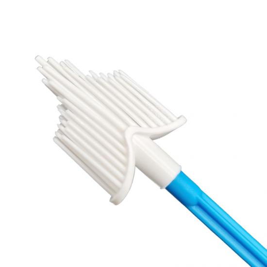 Endocervical Brush Sampling